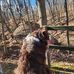 Joe Compton - Facebook