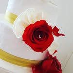 annjosur - @_jo_cook - Instagram