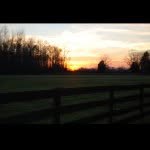 Jo Cornell Stables - @jo_cornell_stables_8 - Instagram