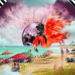 Jocote - @jocotecr - Instagram