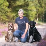Jo Cottrell - @dog.trouble - Instagram