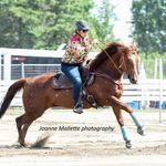 Billie Jo Daigle - @billiedaigle - Instagram
