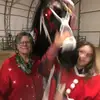 user1962861284831joy - @joydaigle - TikTok