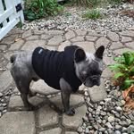 Jo Ann Bailey Dailey - @jodailey2121 - Instagram