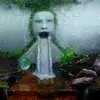 Joe Dailey - @joe.dailey3 - TikTok