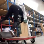 JoDalton - @jo_dalton_and_co - Instagram