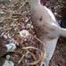 Joseph Darnell - Facebook