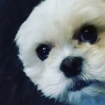 Jo Davison - @joanne.davison1 - Instagram