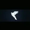 davy_jo - @davy_jo - TikTok