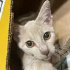 Jo_davy - @jonahdavy - TikTok