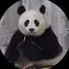 JoDavy4j - @jodavy4j - TikTok