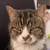 Nenon - @joe.denton08 - TikTok