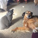 Jo Dickson - @silvajofern - Instagram