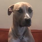 jon dickson - @smokeeyes - Instagram