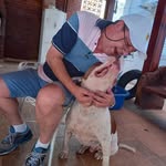 Paulo Jorge Diehl - @paulojorgediehl - Instagram