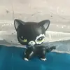 delaneyjodietz - @evilmittykitty - TikTok