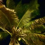 @jodobbs - @jodobbs - Instagram