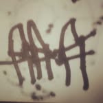 Elvi Jo Dougherty - @elvijodougherty - Instagram