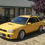 jo dougherty - @20gbugeye - Instagram