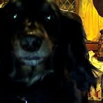 Jo Dougherty Joyner - @joellend.joyner - Instagram