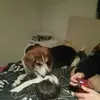 jodoughertyrail - @jodoughertyrail - TikTok