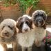 Jo Downing - Facebook