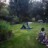 Joe Downing - @joedowning2 - TikTok