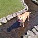 Jo Drew - Facebook