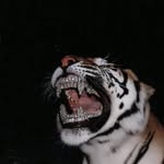 Jodye - @quando28_ - Instagram