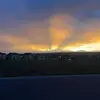 joelyy - @303.joely - TikTok
