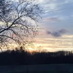 Jo Estes - @nookax4 - Instagram