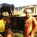 samuel - @joesteson - Instagram