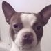 Johnny Farley - Facebook