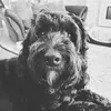 Jo Flynn801 - @joflynn801 - TikTok
