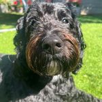 Jo Flynn - @joflynn_77 - Instagram