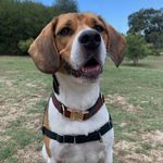 Jo Flynn - @joflynn1 - Instagram