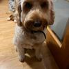 joflynn20 - @joflynn20 - TikTok
