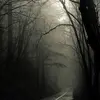 Joe Forrest - @joe.forrest7 - TikTok