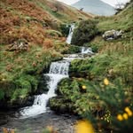 Jo Fraser - @jofraser930 - Instagram