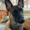 Jo Fraser - @jo.fraser15 - TikTok