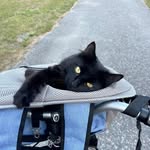 José Miljours - @jo_gauthier2023 - Instagram
