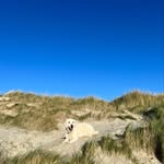Jo Glazebrook - @jsglaze74 - Instagram