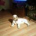 Jo Goldstein - Facebook