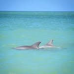 Jo Gower - @jo.gower.90 - Instagram