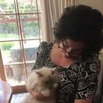 Jo Green - @greenmedicalaesthetics - Instagram