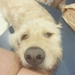 Jo Grimes - @_all_the_nice_things_ - Instagram