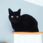 Jo Grimes - @jayseejee - Instagram