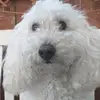 carljohallam - @johallam3078 - TikTok