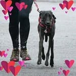 Jo Hallam - @ginger.jo.vet - Instagram