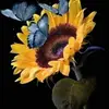 Tammy Jo Hatfield - @tammy.jo.hatfield - TikTok